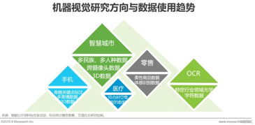 2019年中国人工智能基础数据服务行业白皮书 人工智能行业应用系统集成服务